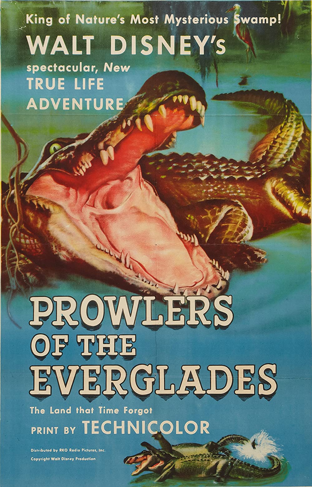     Prowlers of the Everglades